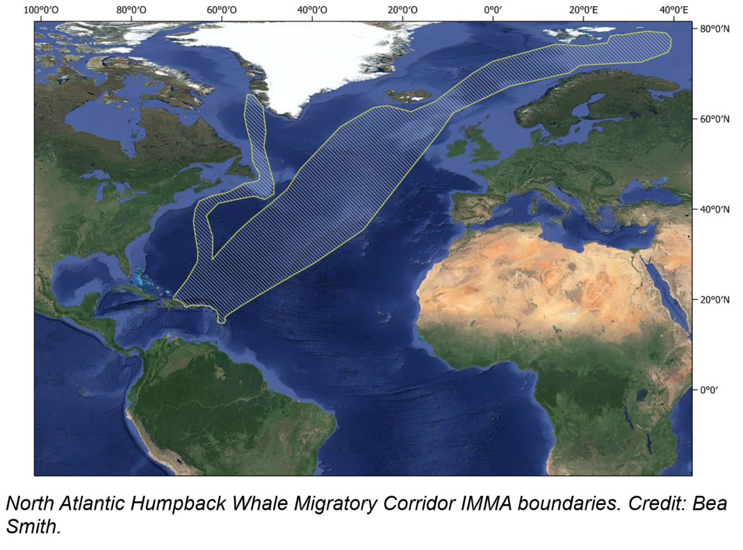 Humpback Whale Migratory Corridor 1