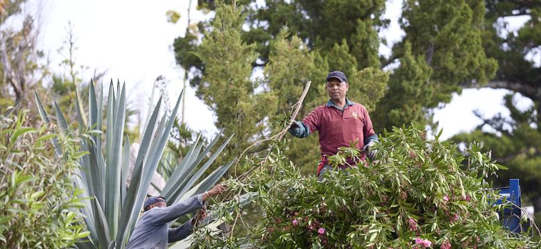 Department of Parks employees at the Botanical Gardens